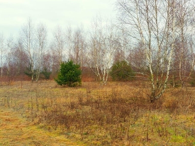 Działka inna Barcice Drwalewskie