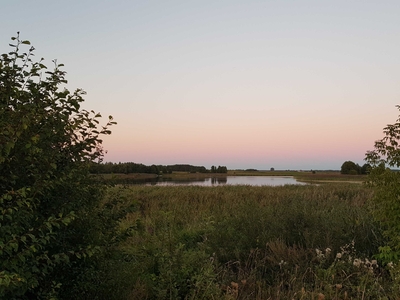 Działka rolna 0,7ha z linią brzegową, prądem i możliwością zabudowy!