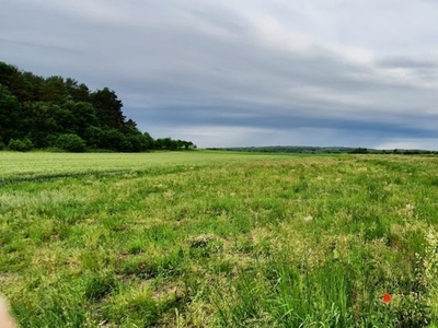 Działka rolna Gryfice