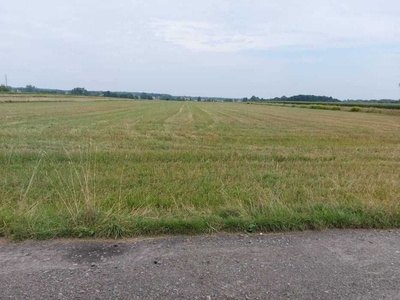 Działka rolna z możliwością zabudowy, 3000 m, Wola Prażmowska