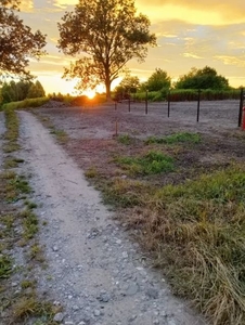 Działki Maszewo nad Wisłą