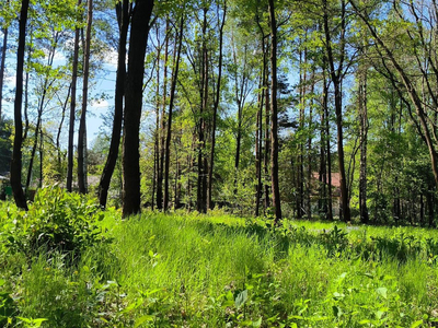 Grodziski, Grodzisk Mazowiecki, Janinów