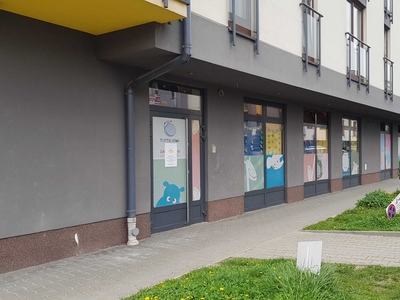 Lokal usługowy ul. Radzikowskiego 217 m2