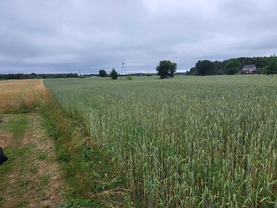 Sprzedam działkę, działka na sprzedaż Nowe Załubice