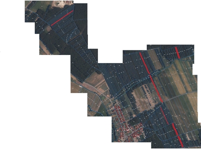 sprzedam las i pole Wygiełdów woj. opolskie