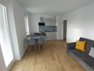 Wynajmę apartament 3 pokojowy os. Botanika