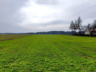 Działka budowlana Ostrówek