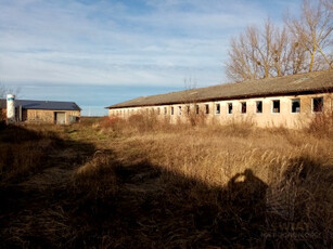 Działka komercyjna Kamieniec