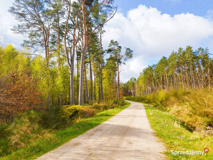 Działka o powierzchni 5524 m2- 12km od Kołobrzegu