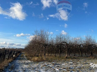 Działka rolnicza w okolicach Grójca