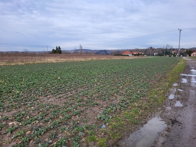 Działka budowlana Bolechowice