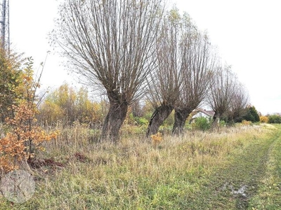 Działka budowlana Mikoszewo