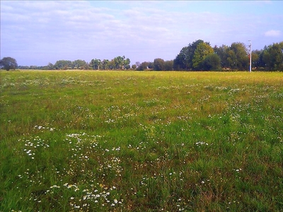 Działka na sprzedaż, średzki, Brodowo