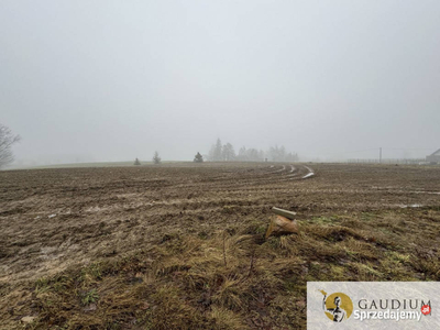 DZIAŁKI KASZUBY 1000 m2 GMINA SZEMUD!