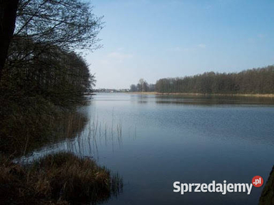 Sprzedam dom z budynkiem i garażem 2-stanowiskowym. Blisko lasu i jeziora