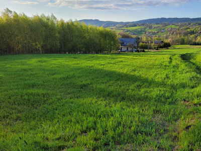 tarnowski, Gromnik, Siemiechów