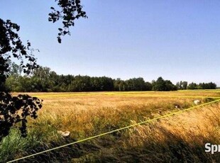 Działka nad morzem ruchome wydmy tanio