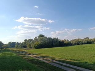 działka rekreacyjna nad rzeką Wisla