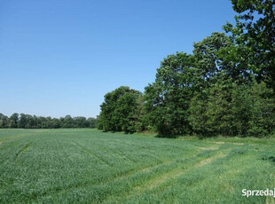 Skoczów Ochaby 62 ar pod lasem widokowa rolna pod rekreacje