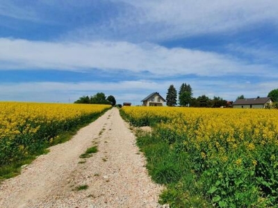 Działka budowlana Bełżyce Wzgórze