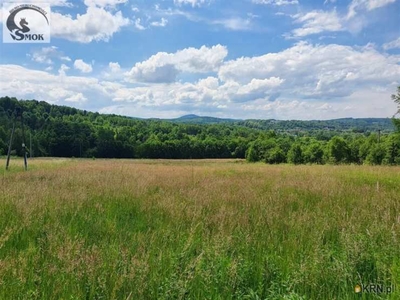 Działki, Izdebnik