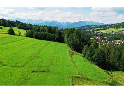 Działka budowlana Sprzedaż Biały Dunajec, Polska