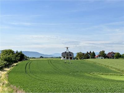 Działka budowlana Sprzedaż Wilamowice, Polska