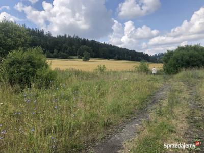 Działka Dzikowiec, Góry Sowie, Srebrna Góra, Nowa Ruda - Bez