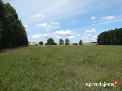 Kameralna działka na Kaszubach niedaleko jeziora