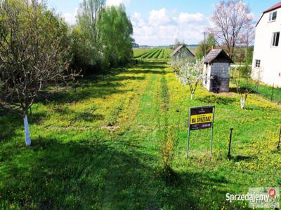 Ogłoszenie grunt Korchów Drugi 2484m2