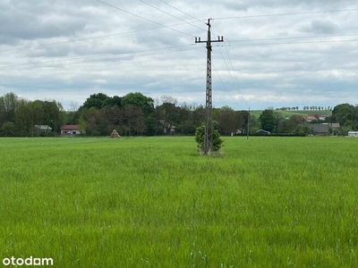 Działka rolna Trzciniec gm. Nagłowice,