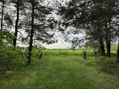 działka Brzeźnica Książęca, 4 600 m² + las Tarło, 7 50