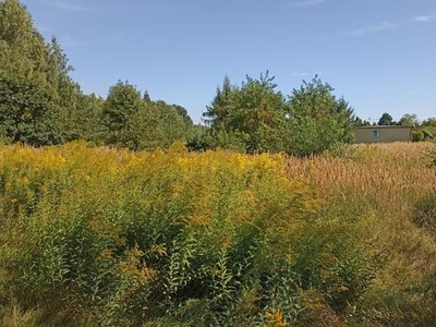 działka budowlana Halemba/Kłodnica