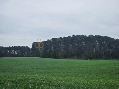 Działka budowlana Ostrowieczno gm. Dolsk,