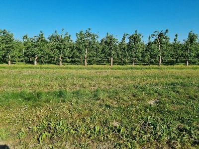 Działka budowlana Rabowice gm. Swarzędz,