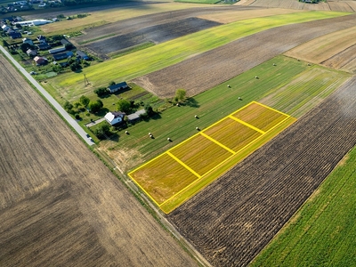 Działka inna Borowina Sitaniecka