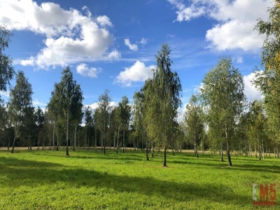 Działka rekreacyjna Ogonki gm. Węgorzewo