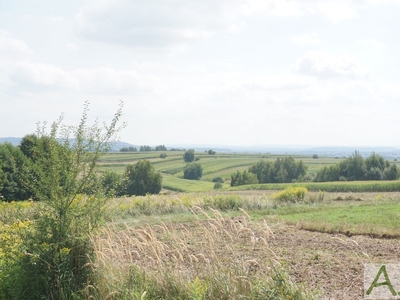 Działka rolna Mników