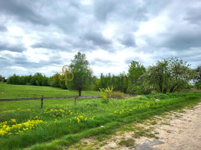 Działka usługowa Rybojedzko gm. Stęszew,