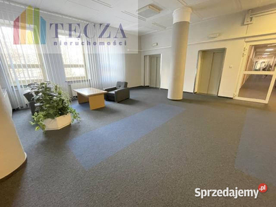 Lokal na wynajem 289.9m2 Warszawa Świętokrzyska