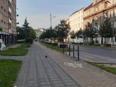 Lokal użytkowy Rybnik Śródmieście