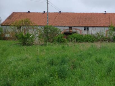 Sprzedam działkę 0,6h i 12h gruntu Rosochata dolnośląskie