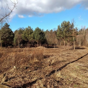 Wynajmę lub sprzedam działkę budowlaną w Nowym Prażmowie