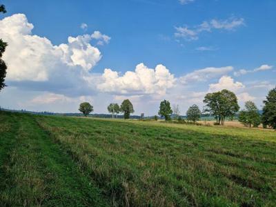 Działka budowlana Podlesie gm. Głuchołazy