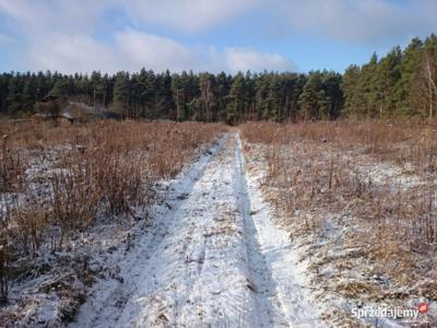 Działka budowlana ze ścianą lasu - bez pośrednika