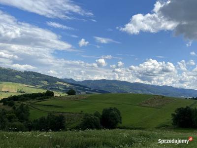 Działka Haluszowa nr 663 3500m2 Podhale Pieniny