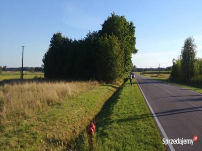 Sulejów, gm. Jadów, 50 min od Wawy!