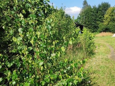 Działka budowlana Dąbrowa Górnicza