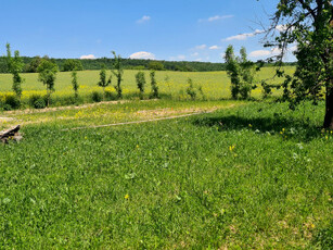 Działka budowlana Klonów