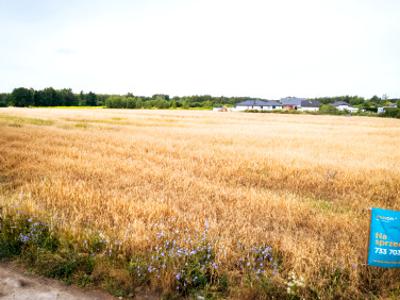 Działka budowlana Placydów